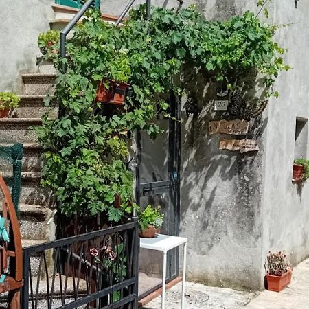 Nicolas House Campiglia dʼOrcia Extérieur photo