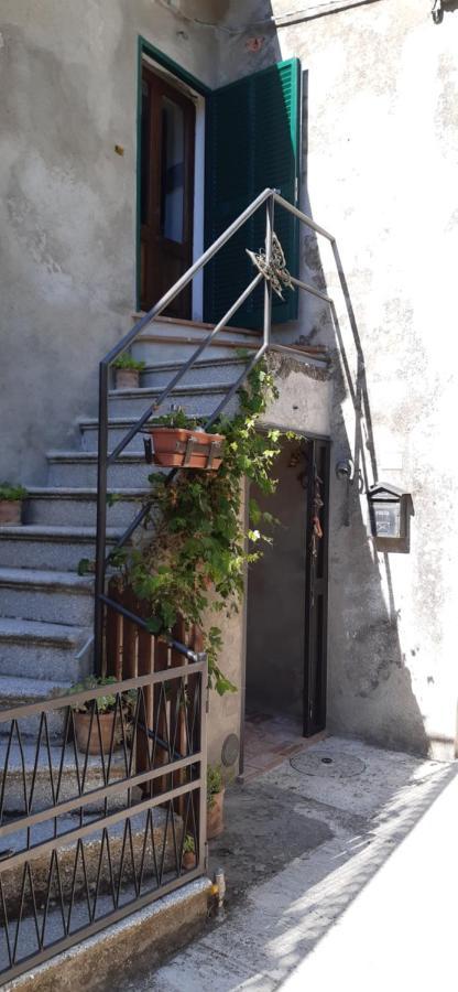 Nicolas House Campiglia dʼOrcia Extérieur photo