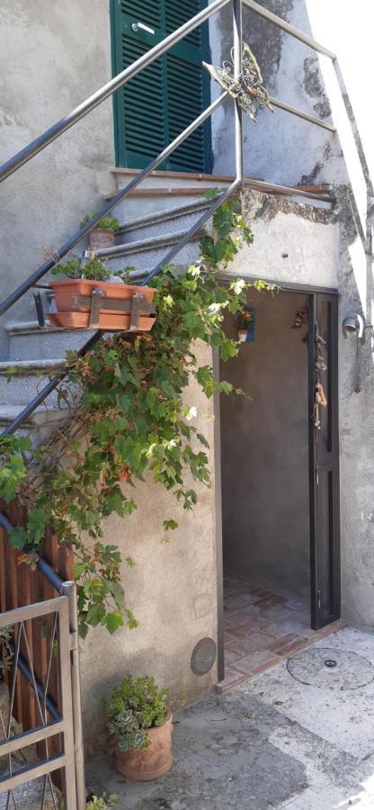 Nicolas House Campiglia dʼOrcia Extérieur photo
